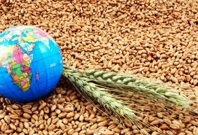 الأمن الغذائي في العالم: التحديات والحلول في السنوات الأخيرة